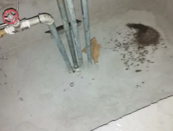 滦南卫生间测漏水价格明细